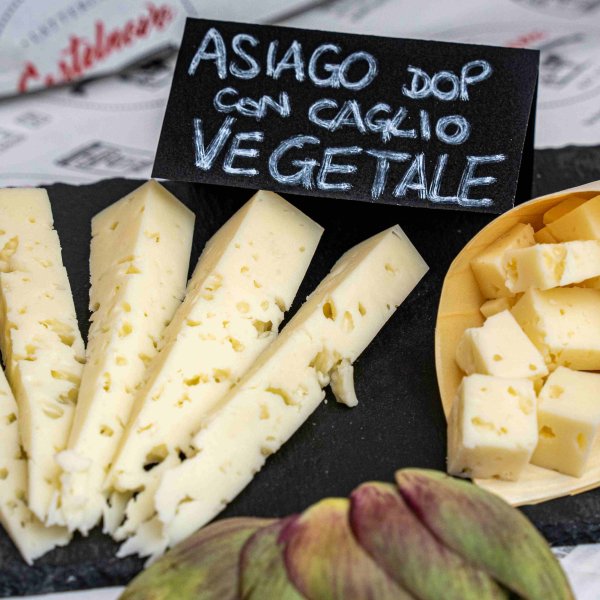Formaggio_Villa-3 (1)